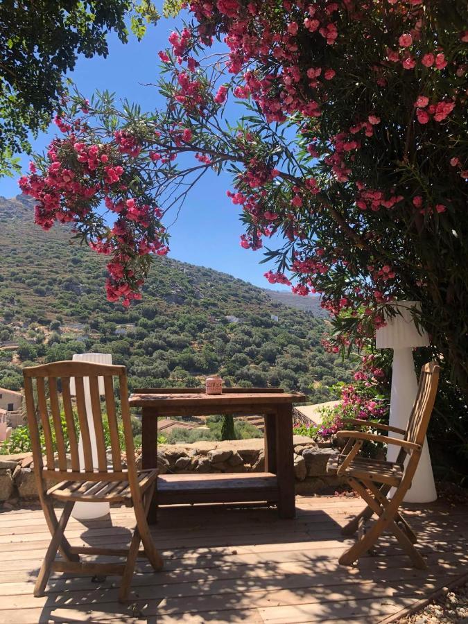 The Cosy By 1722 Hébergement de vacances Corbara